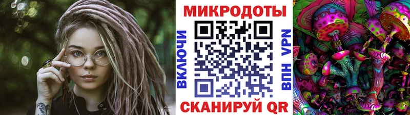 Псилоцибиновые грибы Psilocybe  hydra вход  Северская 